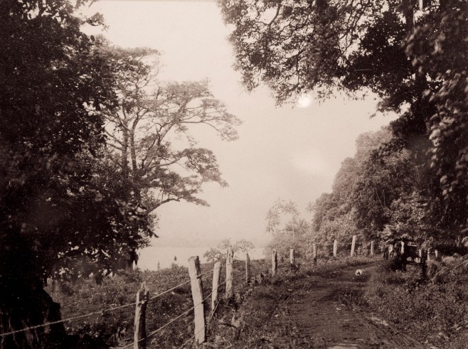 Route entre Manaia et Papara en 1900. Photo Franck Homes.