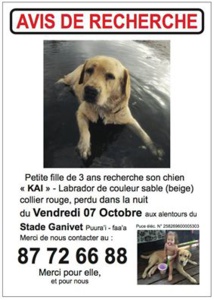 Disparition du labrador Kai : la commune de Faa'a porte plainte