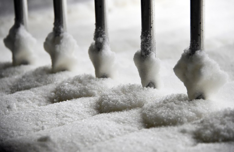 Conflit de la canne à sucre à La Réunion: les députés interpellent le gouvernement
