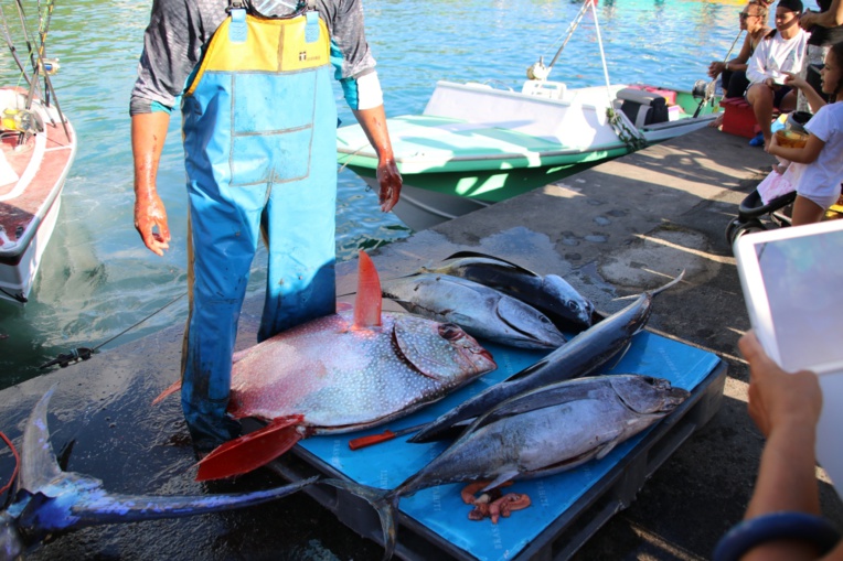 Heiva i Huahine : Manu Oopa remporte le concours de pêche en haute mer 