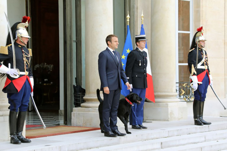 Macron, sous pression, ne veut pas "céder aux Cassandre"