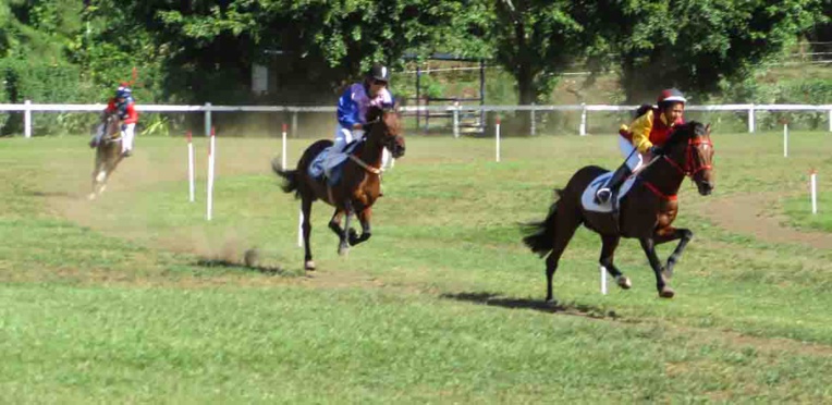 Hippodrome: Record de la piste et cagnotte pour les gagnants du jumelé