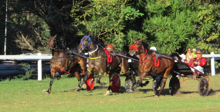 Hippodrome: Record de la piste et cagnotte pour les gagnants du jumelé