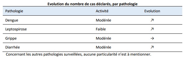 Santé : l'épidémie de grippe continue 