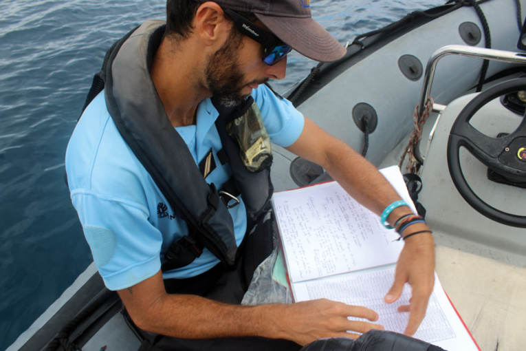 Une journée de contrôle des observateurs de baleines avec la gendarmerie maritime