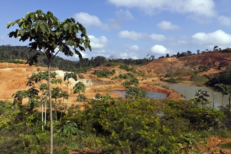 Guyane: un homme grièvement blessé lors d'une opération contre une mine d'or illégale