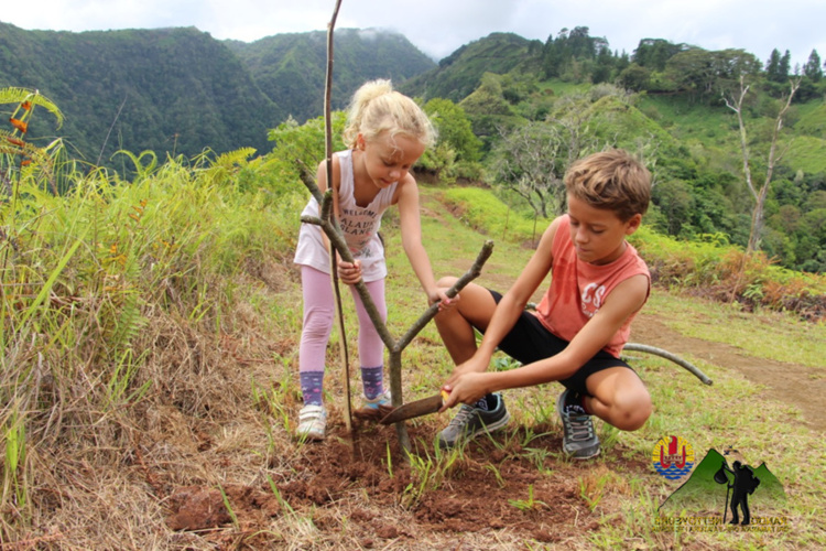 Environnement : Les Rando Nettoyeurs lancent une" rando plantation" samedi