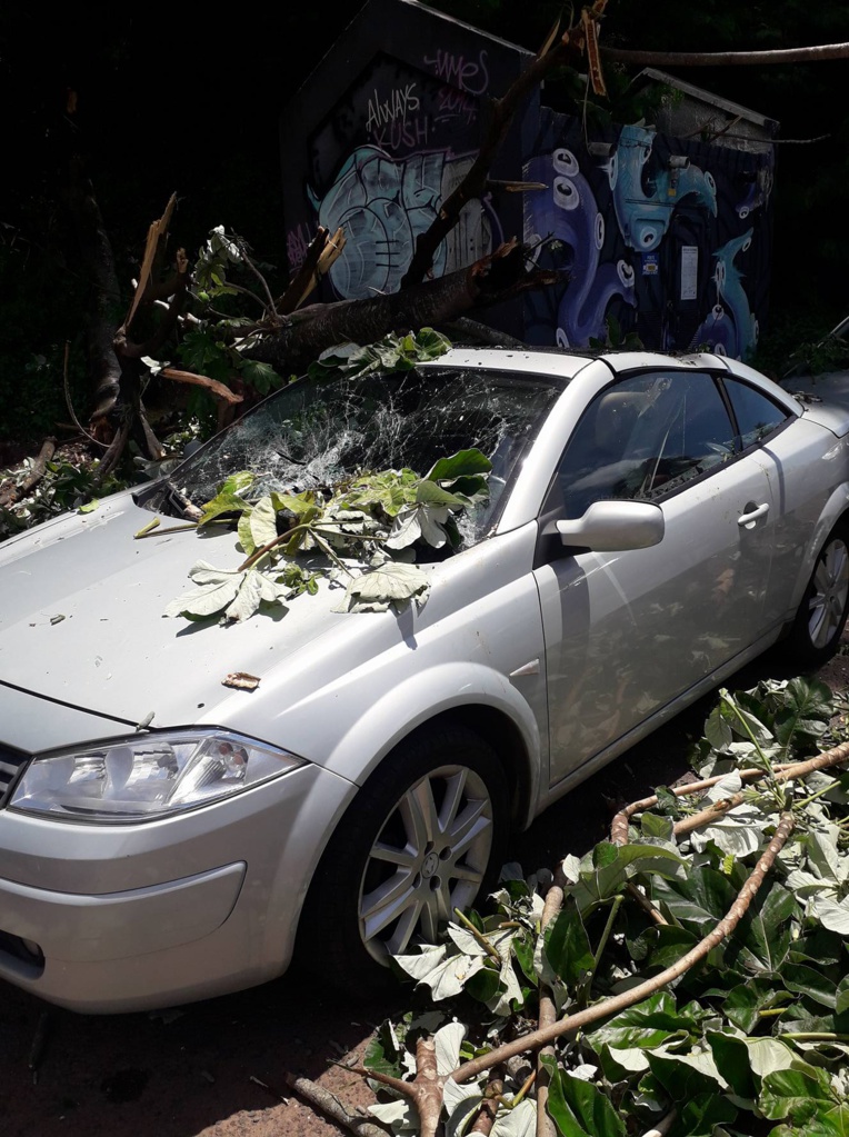 Papeete : un arbre tombe sur une voiture