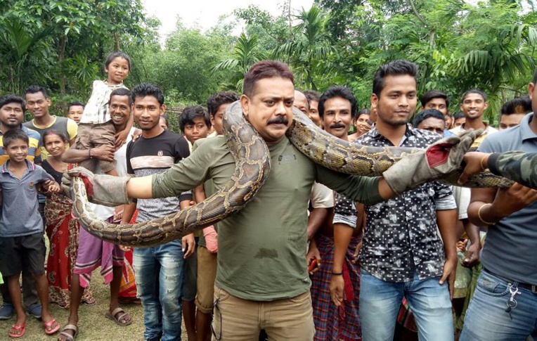 Inde: il pose avec un python et échappe de justesse à l'étranglement