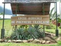 Lycée agricole d'Opunohu : Il reste des places vacantes en 2nde professionnelles