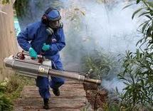 Des épandages d’insecticides dans les zones infectées