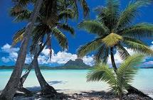 6ème édition du Tahiti Travel Exchange - USA
