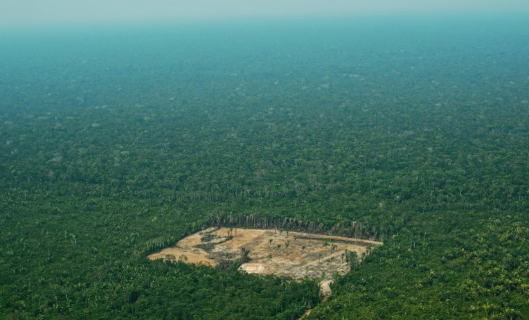 La déforestation en Amazonie sous l'oeil des satellites