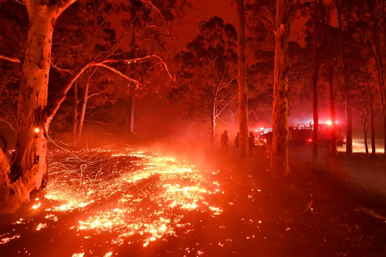 Incendies en Australie: des milliers de personnes dormiront sur des plages