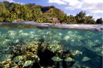 Ecosystèmes marins : l’UMR-EIO officialise sa création