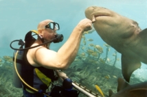 Communiqué du ministère de l'environnement sur le "shark feeding"