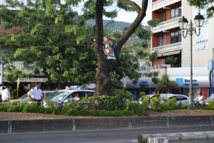 Papeete : un SDF menace de se jeter d'un arbre