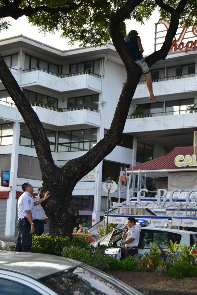 Papeete : un SDF menace de se jeter d'un arbre