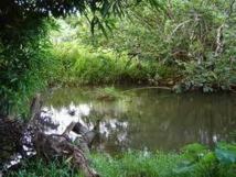 Le corps de la victime a été abandonné dans la rivière