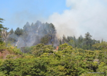 Incendie de montagne sur la route du mont Marau