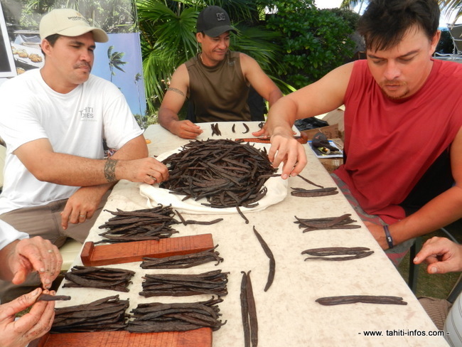 Des apprentis préparateurs en atelier de tri.