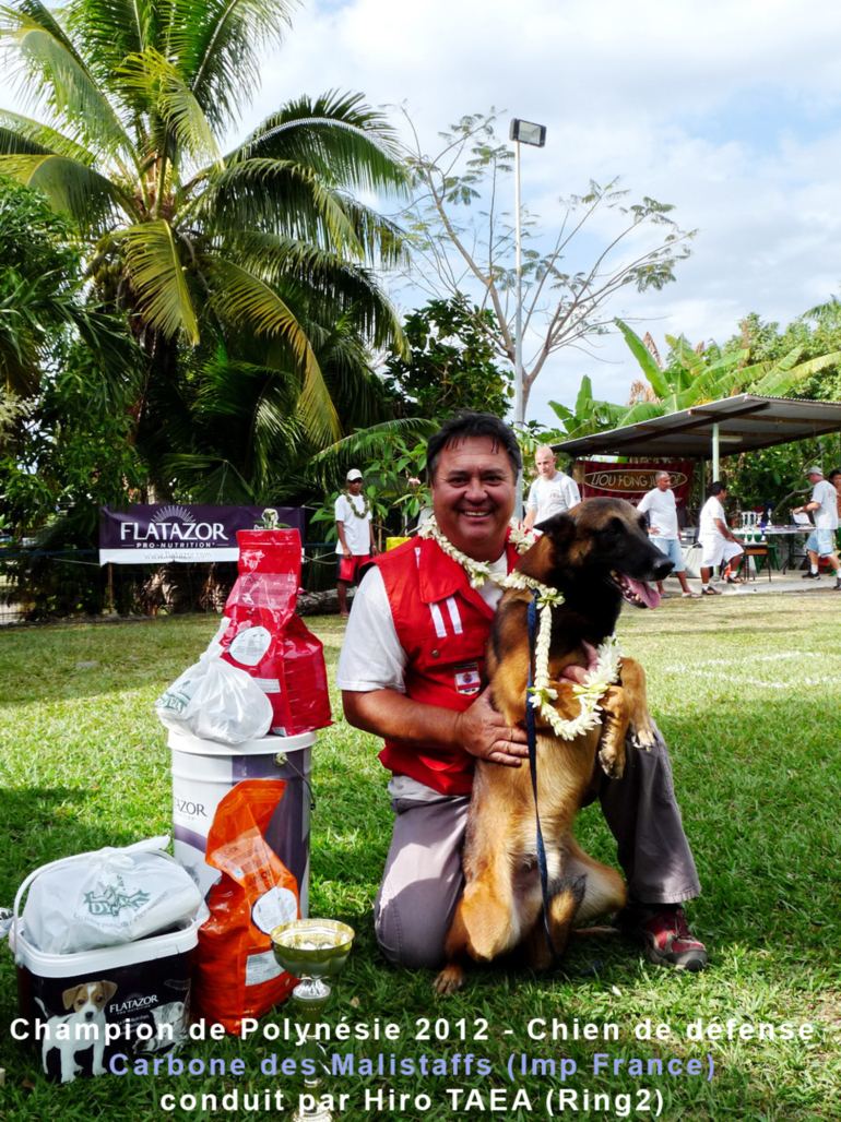 Carbone de Malistaffs et Hiro TAEA ont obtenus le titre de Champion de Polynésie 2012 de chien de défense en ring 2