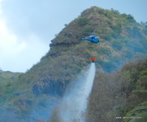 Un feu de brousse à Punaauia dimanche