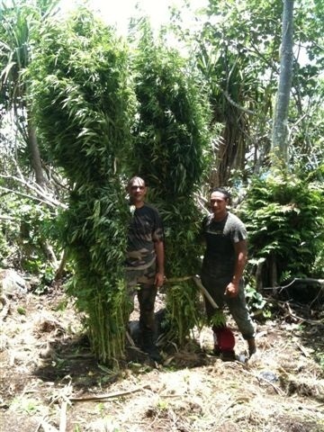 Du paka à Rurutu, Takapoto et Tahaa