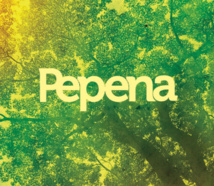 Sortie de l'album du Groupe Pepena