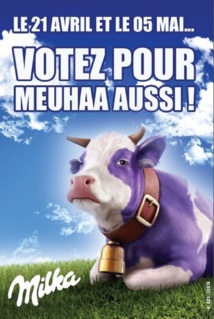 Insolite : la vache Milka fait sourire la campagne