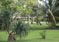 1ère édition « Journée Culturelle » au Musée de Tahiti et des îles, samedi 29 juin