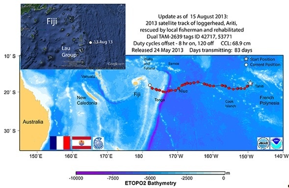 Image satellite retraçant le périple de la tortue Ariti