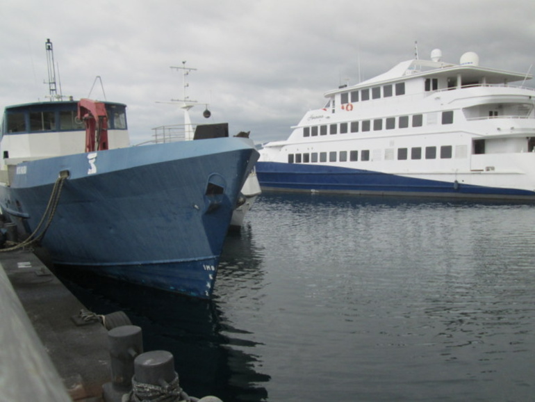 Epaves au port de Papeete : les navires seront "récupérés ou coulés !" prévient Bruno Marty