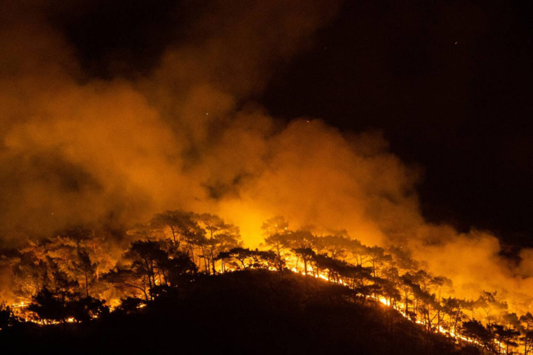 Le feu menace une centrale thermique en Turquie