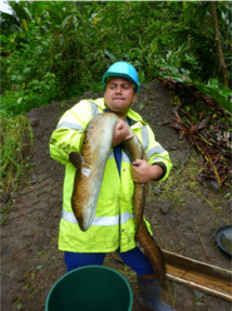 Marama Nui et le Criobe s’engagent sur un programme de recherche « Concilier hydroélectricité et préservation de la biodiversité en rivière »