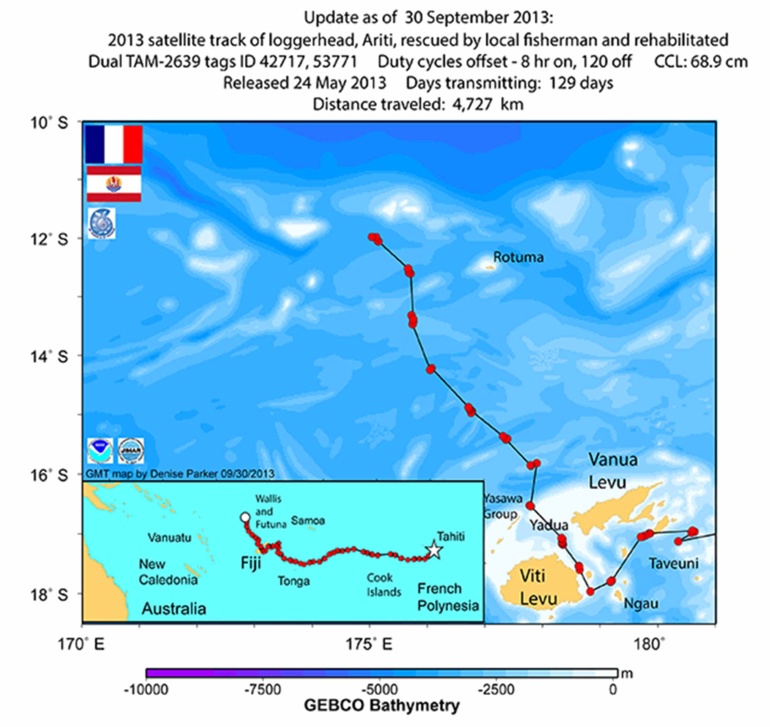 La tortue Ariti prend la direction de Wallis et Futuna