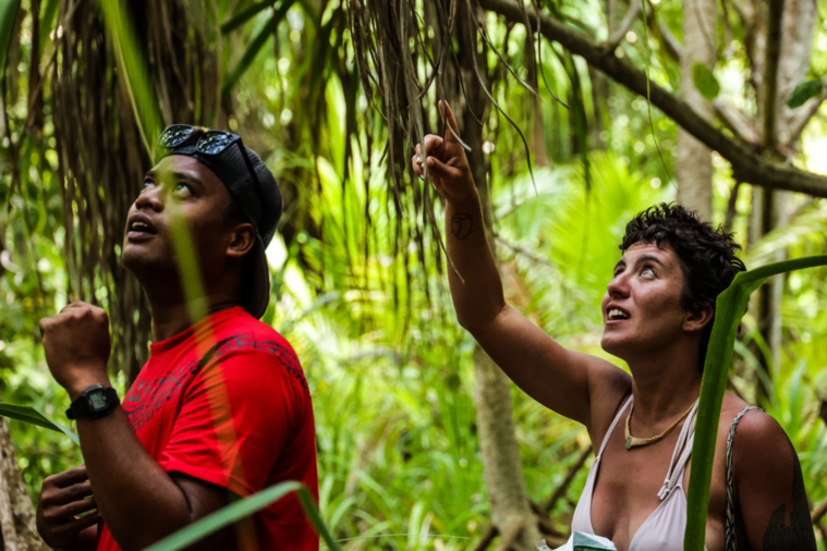 Chiara Ciardiello, membre de la SOP Manu, en charge du programme de protection du monarque de Fatu Hiva, s'est rendue à son tour au Lagon bleu pour constater les dangers qui menacent les loris.