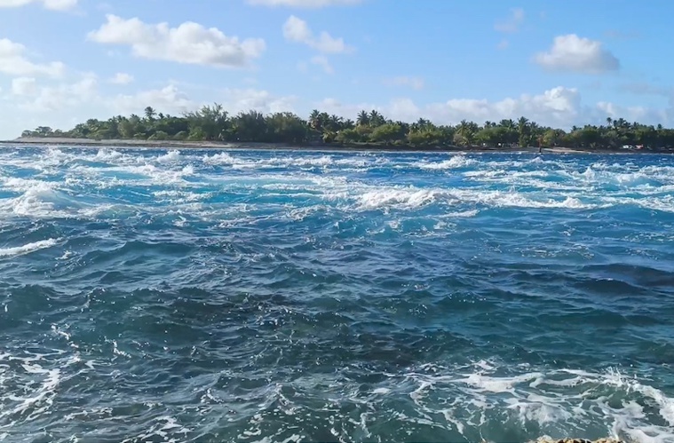 Rangiroa les pieds dans l'eau