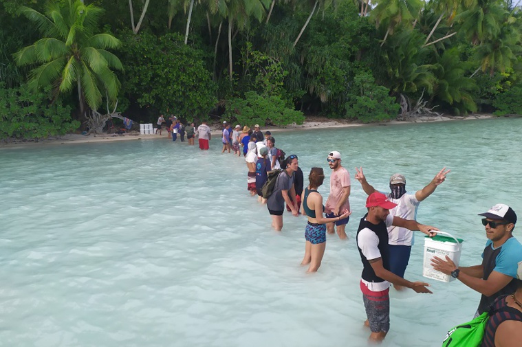 L'éradication inouïe du rat à Tetiaroa