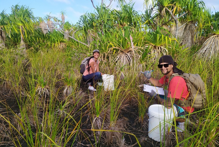 L'éradication inouïe du rat à Tetiaroa