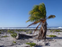 L'atoll de Toau (image d'illustration).