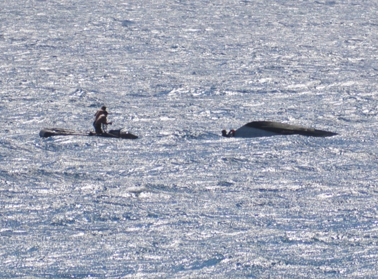 Un poti marara se renverse à Papenoo