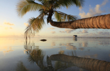 Business Forum LA: Les nouveaux habits marketing de « Tahiti et ses îles »