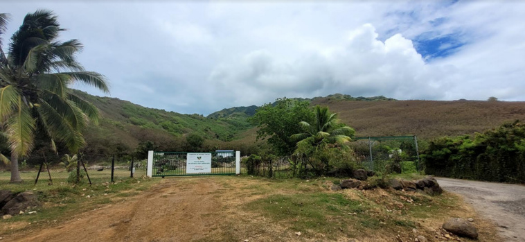 Margot hillion vient tout juste d’obtenir un terrain par l’intermédiaire de la mairie. Celui-ci se trouve à Moorea, en bas de la déchetterie, et s’étend sur 11 000 mètres carrés.