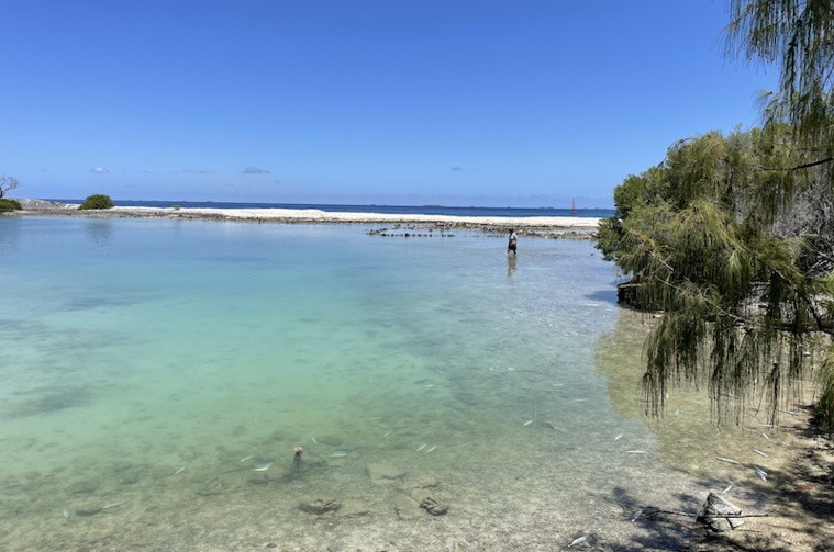 Samedi matin, les premiers poissons morts ont été observés sur le site près de la passe, où l'eau circule peu.