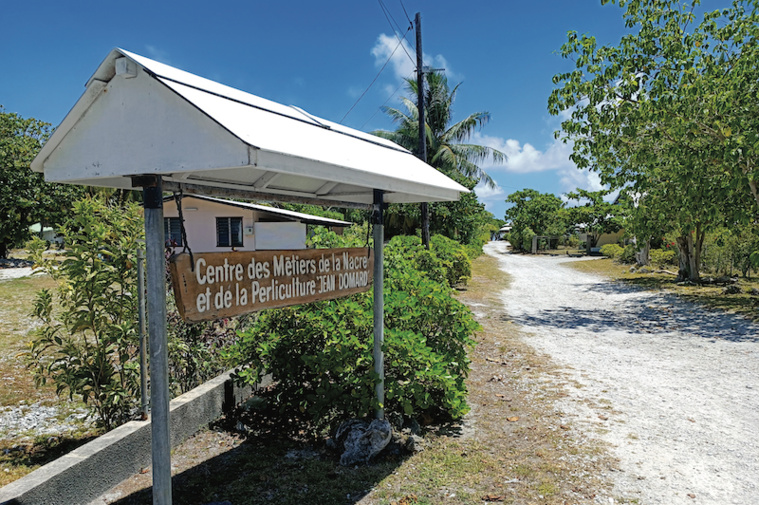 Les futurs greffeurs locaux formés à Rangiroa