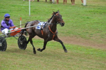 Hippisme: Tez a Secret, vers une troisième victoire? 