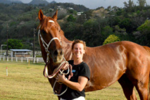 Vente de chevaux "pur sangs" et "selles" à Mataiea dimanche