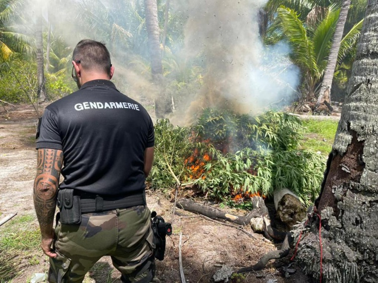 Un gendarme qui fait bruler le paka saisi.  Crédit photo : Gendarmerie nationale.
