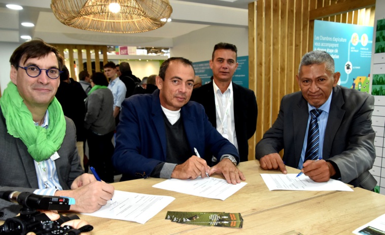 La signature du partenariat entre la Réunion et la Polynésie. Crédit photo : présidence.